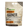 Iron Vegan Athlete's Gainer -Iron Vegan -Gagné en Santé