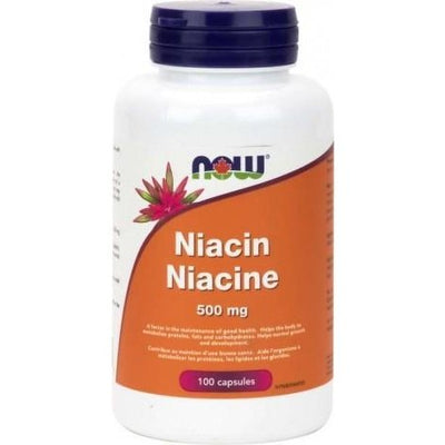 Niacine 500 mg -NOW -Gagné en Santé