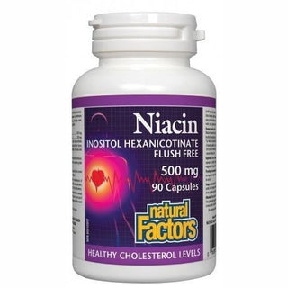 Natural factors - niacin 500mg - 90 caps
