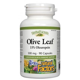 Natural factors - olive leaf 500mg - 90 caps