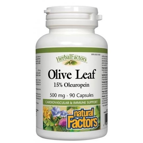 Feuille d'olivier | HerbalFactors® -Natural Factors -Gagné en Santé