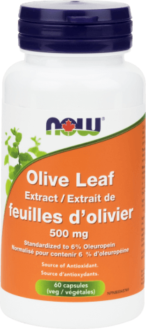Extrait de feuilles d'olive 500 mg -NOW -Gagné en Santé