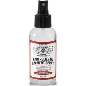 Pain Relieving Liniment (Spray) - J.R. Watkins - Win in Health