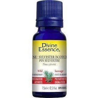 Pine Sylvester (Scotch) - Divine essence - Win in Health