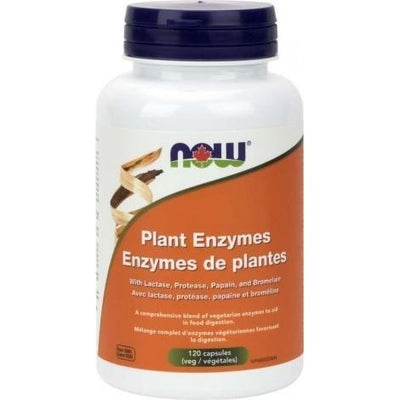 Enzymes de plantes -NOW -Gagné en Santé