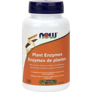 Now - plant enzymes veg capsules 120 vcaps
