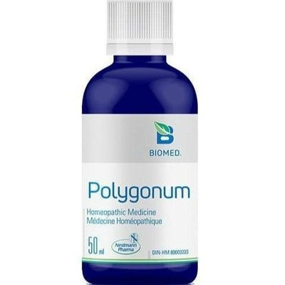 Polygonum -Biomed -Gagné en Santé