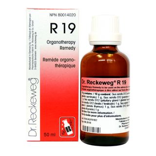 Dr. reckeweg - r19 glandular drops men - 50 ml