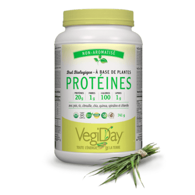 Raw Organic Plant-Based Protein - Unflavoured - VegiDay - Win in Health