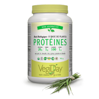Vegiday organic plant base protein- unflavoured