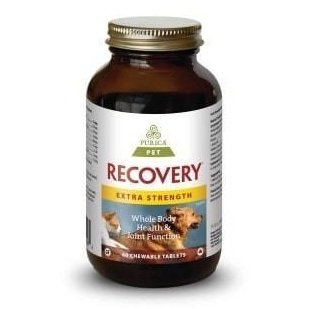 Recovery SA - excellent for athletic dogs, improves canine endurance ...