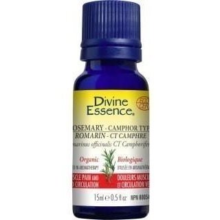 Rosemary Camphor Type - Divine essence - Win in Health