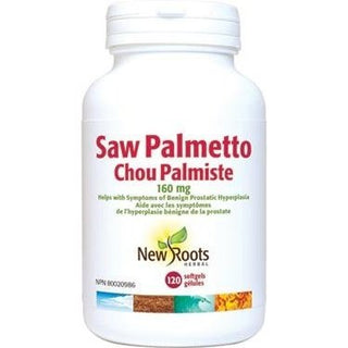 New roots - saw palmetto