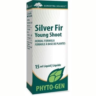 Silver Fir Young Shoot -Genestra -Gagné en Santé