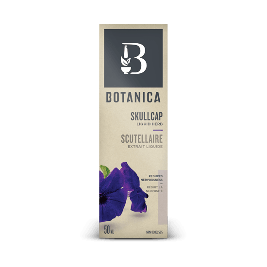 Skullcap | Nervous System Tonic - Botanica - Win in Health