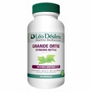 Grande Ortie -Léo Désilets -Gagné en Santé