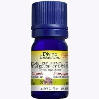 Thyme Red – Thymol Type - Divine essence - Win in Health