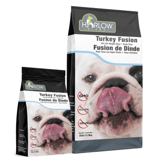 Turkey Fusion - Dog